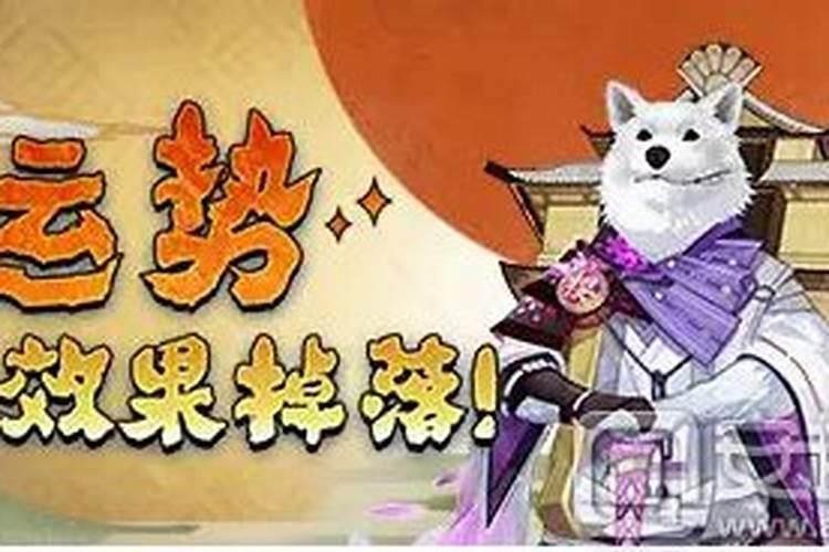 棋士取景地在哪