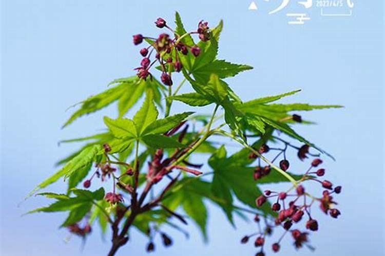 中华人民共和国国运能有多长？