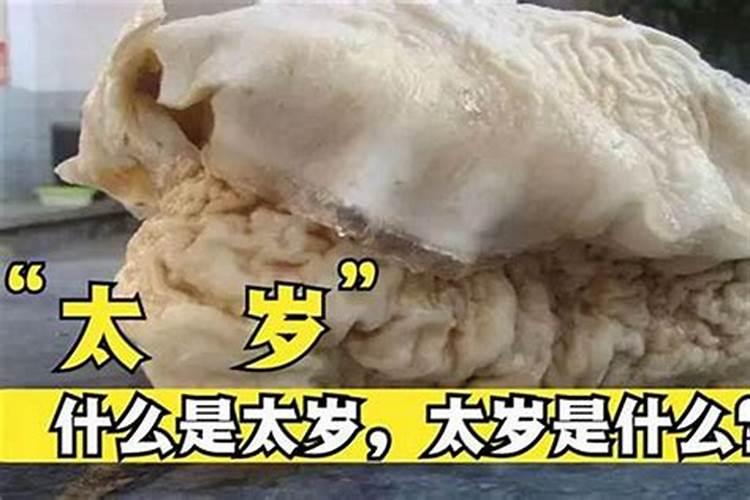 冲太岁放什么花最旺运