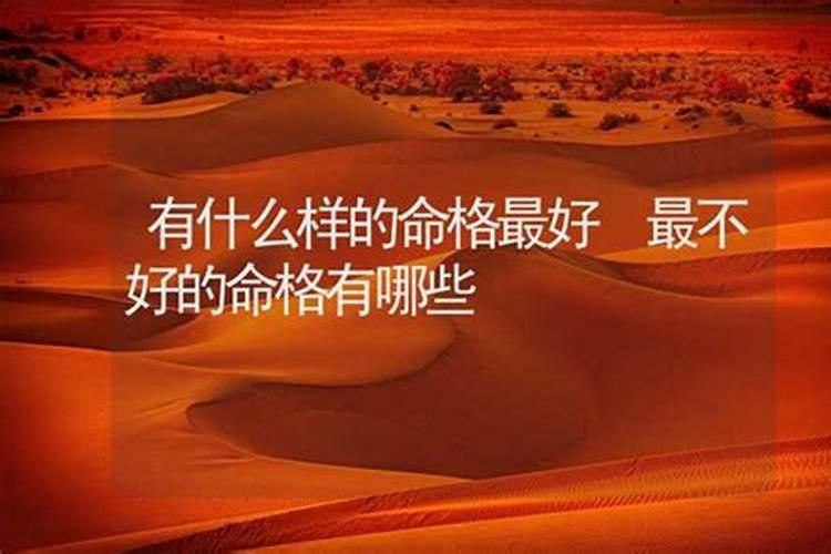 鸡和老鼠合不合