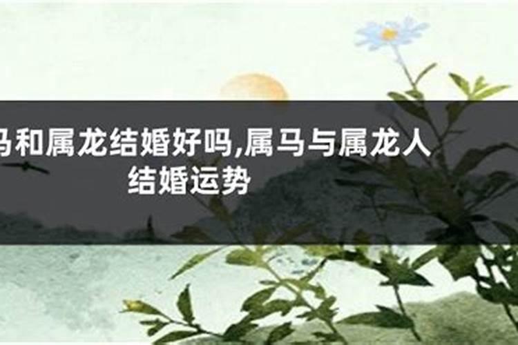 1990属马的本命年应该注意哪些,本命年的大忌属马
