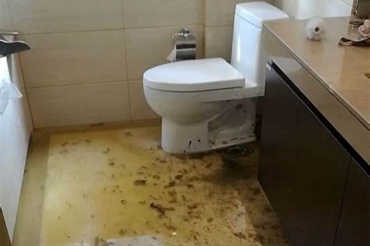 伊川先生的意思是什么