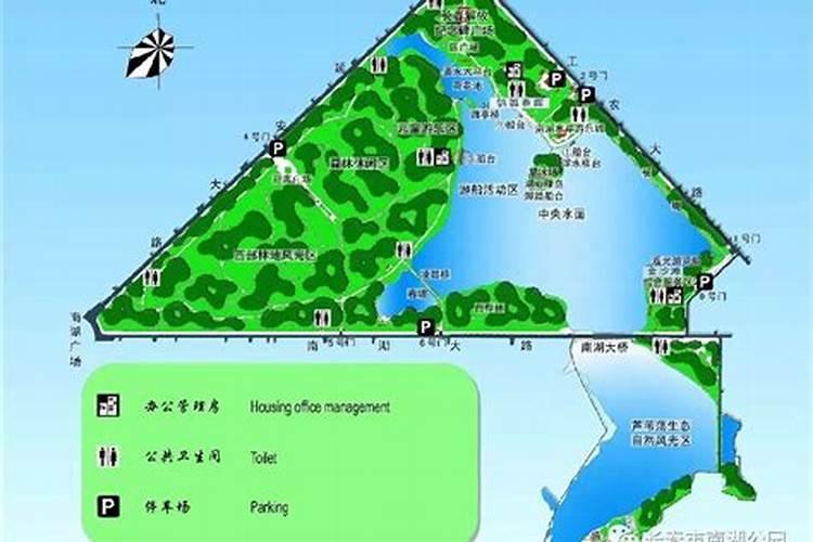 八零猴2025年下半年运势