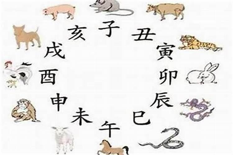 1995属猪的三大坎是哪三大坎 属猪人命里带二婚是真的还是假的