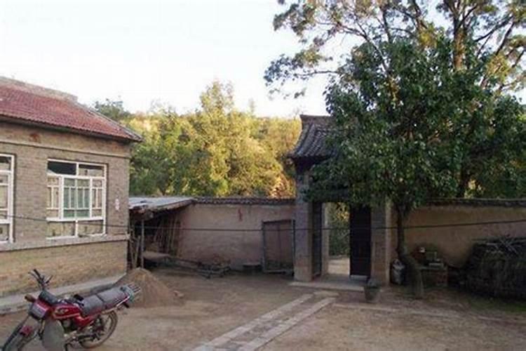 梦见房前屋后都是柴草