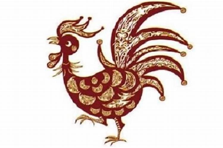 鸡年属兔的运势