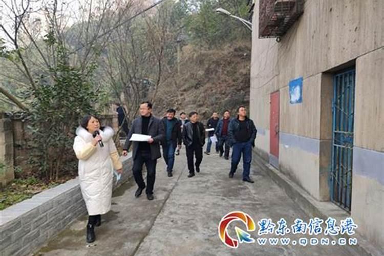 2024年属狗人综合运势 属狗人2024年运势及运程