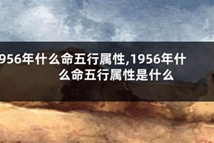 属马的遇到鼠年佩戴什么能化太岁