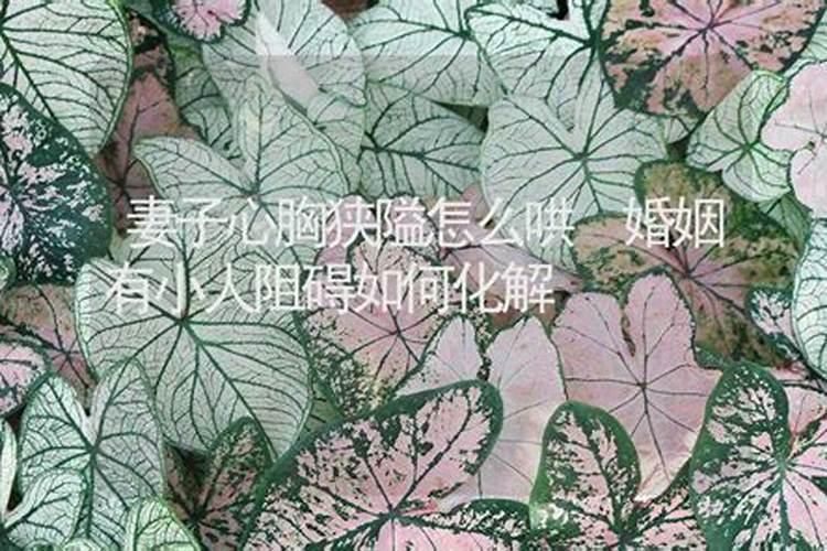 念什么经能保平安吉祥中元节