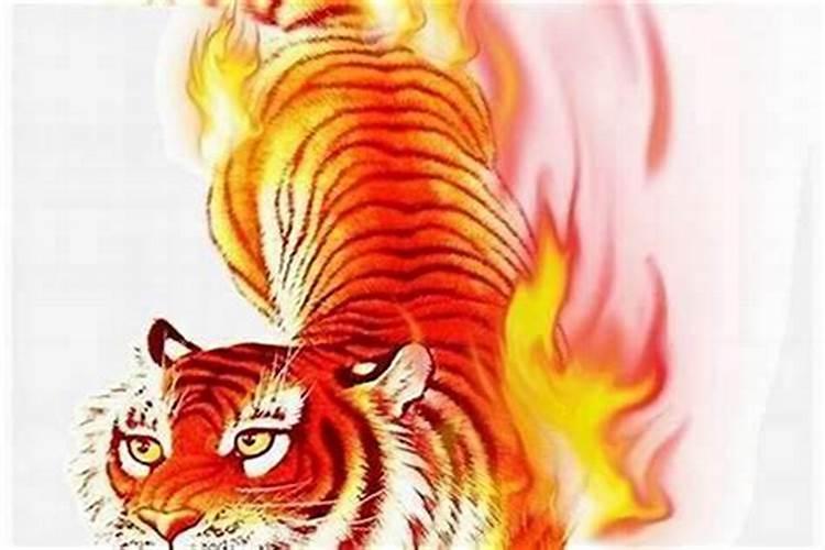 什么样的八字有出家迹象