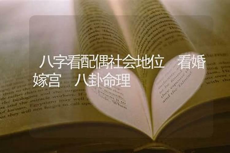 生肖兔1987年2025年运势如何 生肖兔1987年2025年全年运势