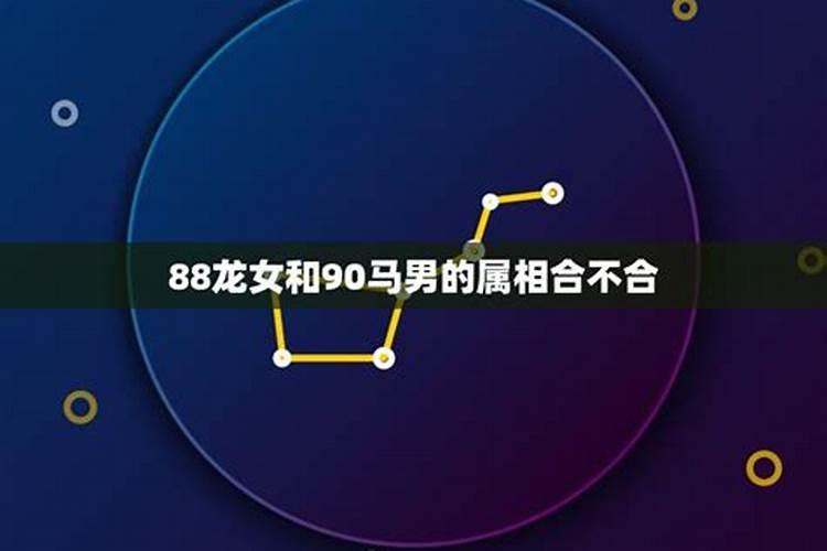 属马女属龙男婚姻状况 马龙婚配是什么婚