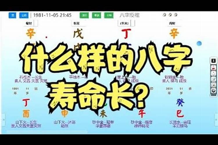 我想算一下生辰八字,我想知道自己是什么命？最好能详细一点