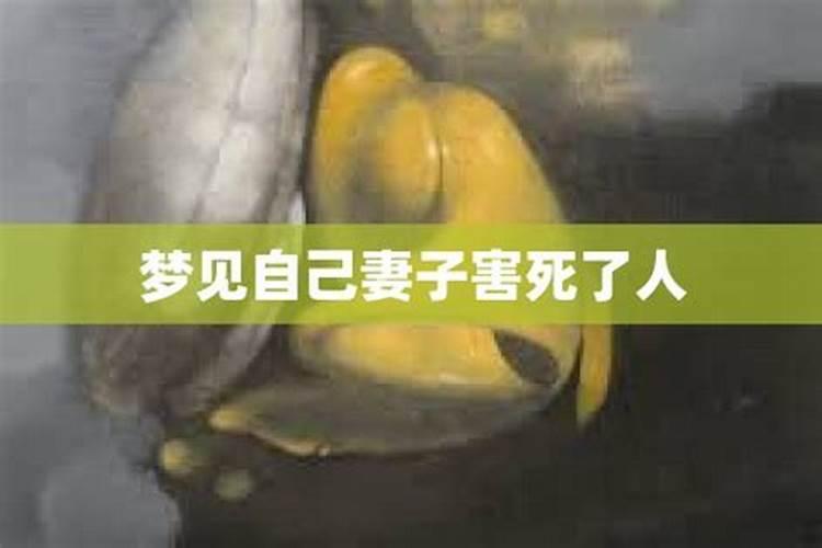 梦见老婆死了又活过来