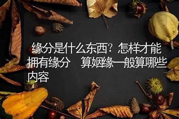 2025年各生肖运势