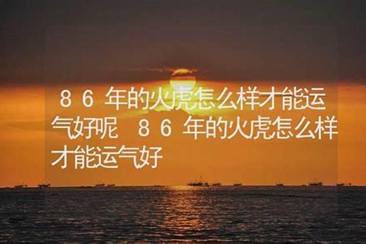 属虎2025年运势详解