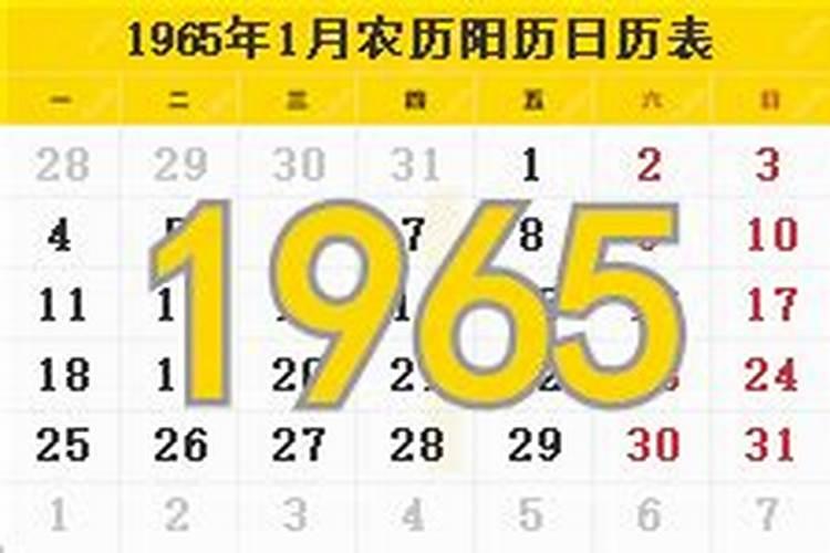 1965年12月27日戍时生人八字