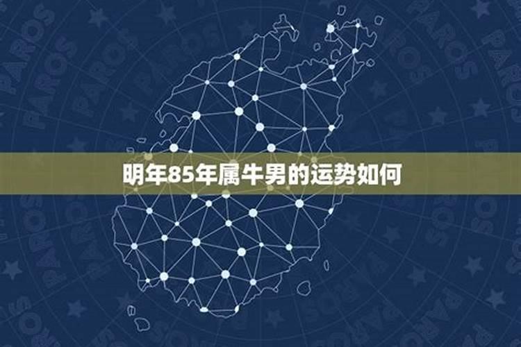 85年牛女2025年的运势和婚姻