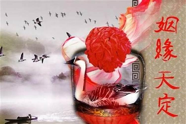 八字合婚看的是什么,八字合婚怎么看