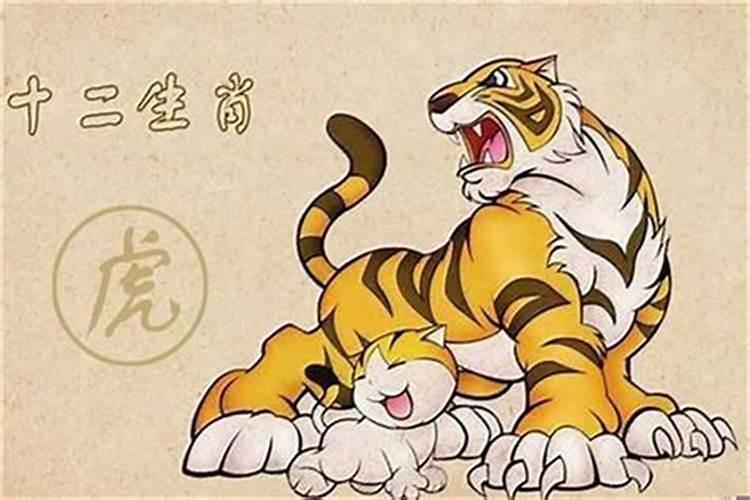 女96鼠和男98虎八字合不合婚