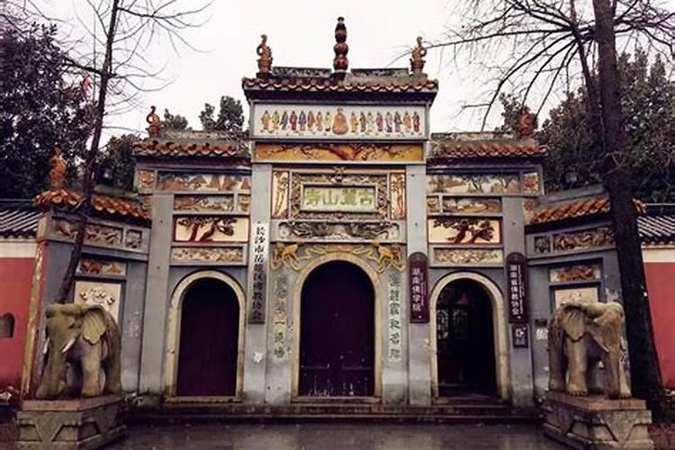 山下的风景怎么写作文