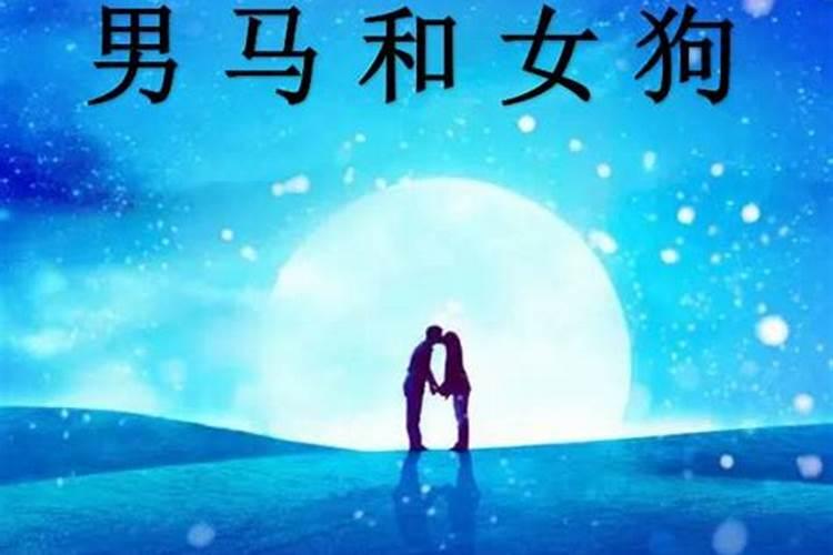 属狗的和什么属相最配
