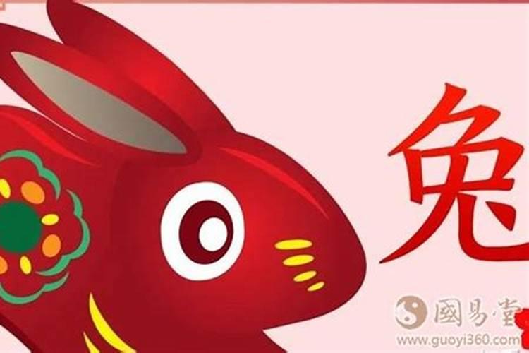 养龟放在什么位置养对家庭旺,乌龟放在家里什么位置好？