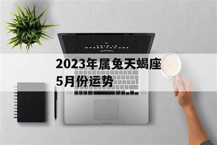 属兔2025年5月22日运势