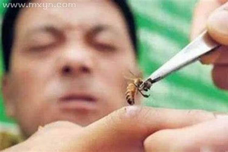 梦到被蜜蜂蛰是什么意思 梦到被蜜蜂蛰暗示什么