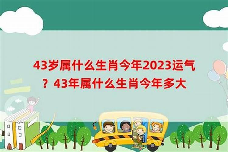 属羊1943出生2025年几岁了