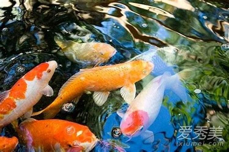2025属马人全年运势详解