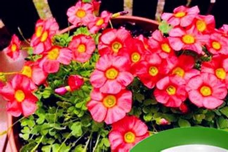 正月十五为什么叫元宵节 你知道吗？