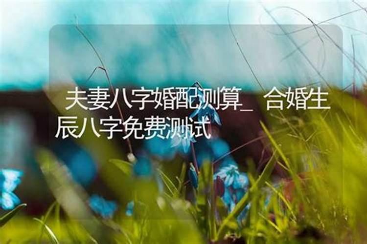 八字合婚67分,八字合婚多少分以上才好