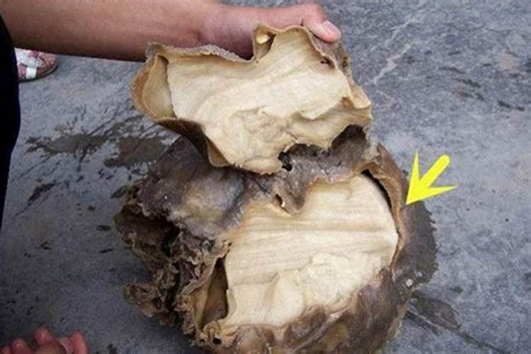 周公解梦梦见水是什么意思