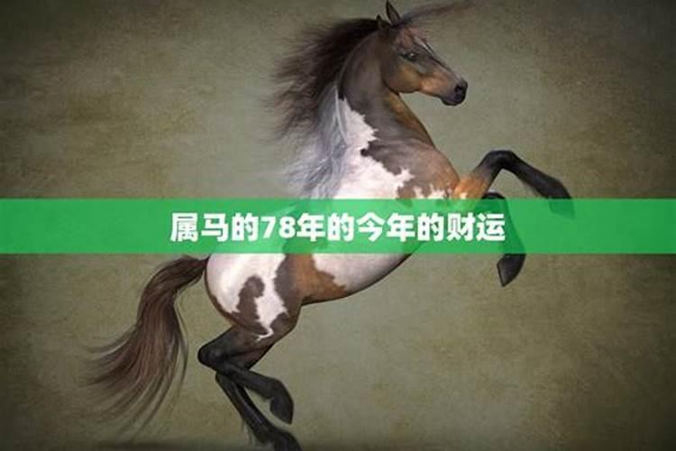 78年马2025年属马人全年运势