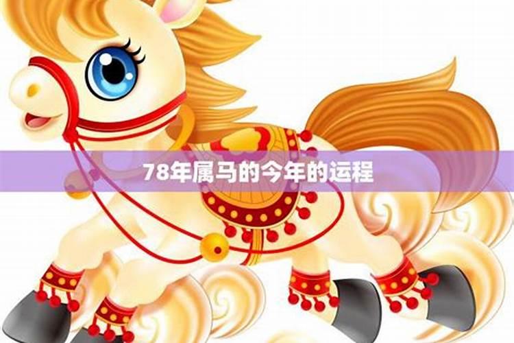 78年属马未来三年2024到2026运势好吗