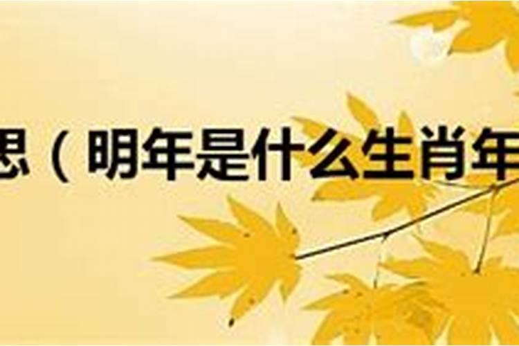 2023年6月21日是什么节气 6月21日是夏至节气