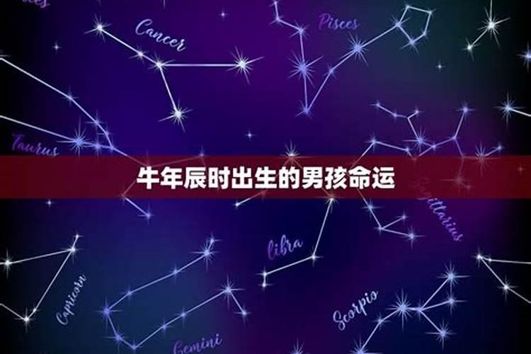 属牛的男孩午时出生好不好,牛年午时出生的男孩取名