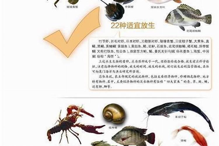 春节的风俗有哪些