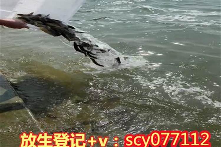 春节的传统文化有哪些