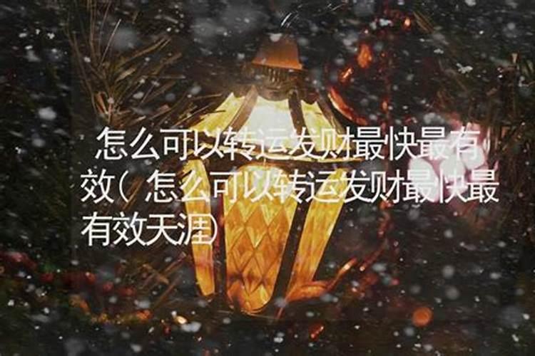 2025属猪人的全年每月运势