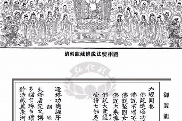 放生回向应该怎么说,比如我身体有点小毛病,还有我想事业有成,应该怎么...