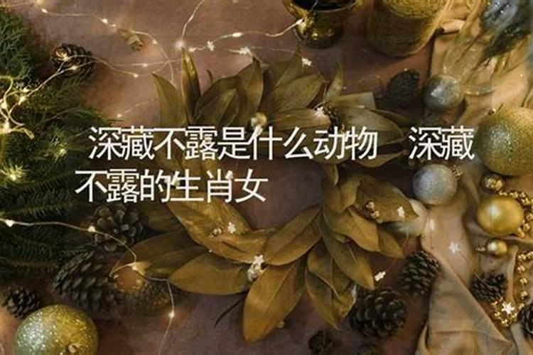 属牛男人和属猪女人相配吗