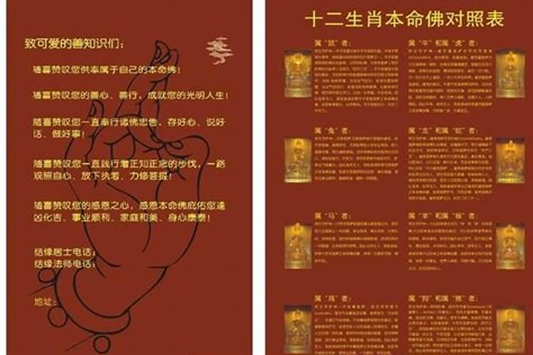 怎样知道自己的本命佛？