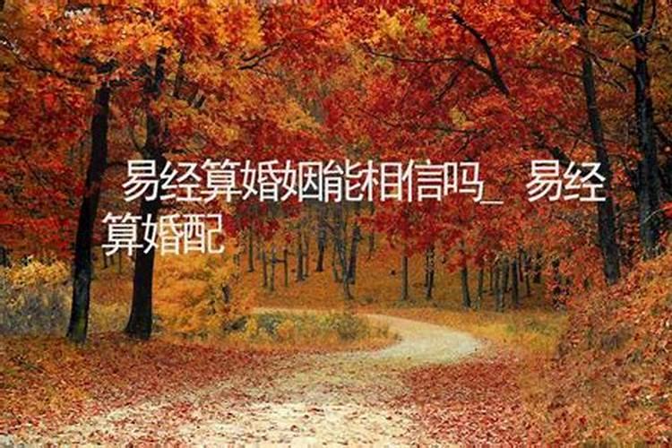 2005年5月28日出生的人生日花是什么