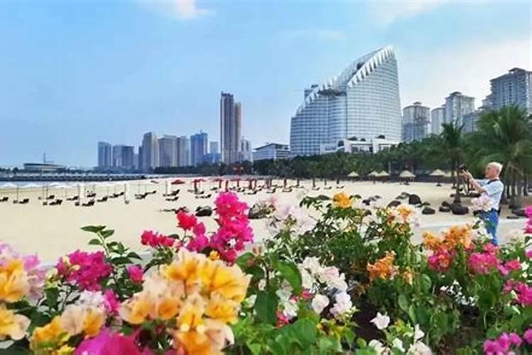 桂味荔枝什么时候开花