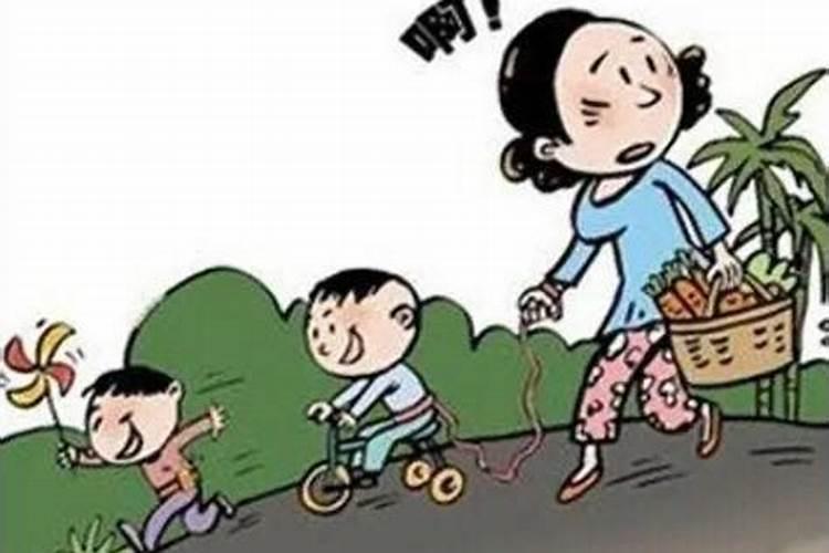 95年的猪2025年运势