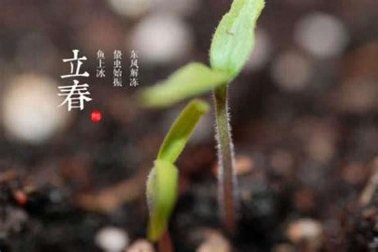 梦见去老同学家的预兆