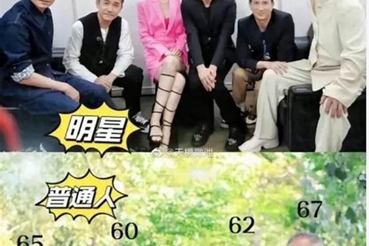 50岁到60岁梦到蛇是什么意思