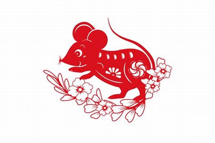 属鼠农历出生四月命运命好不好？